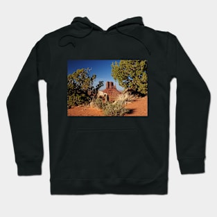 Monument Valley one of the wonders of Arizona!! Hoodie